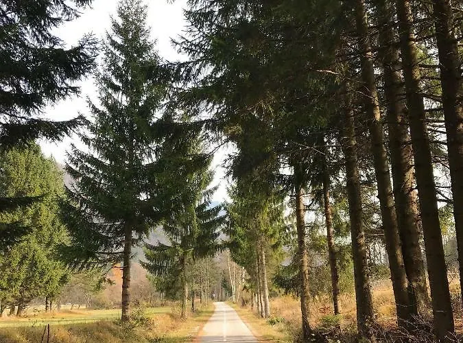 Auredius Deluxe Apartment